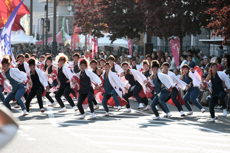 第10回つるせよさこい祭り　朝霞なるこ遊和会　（敬称略）　埼玉県朝霞市_c0276323_17234294.jpg