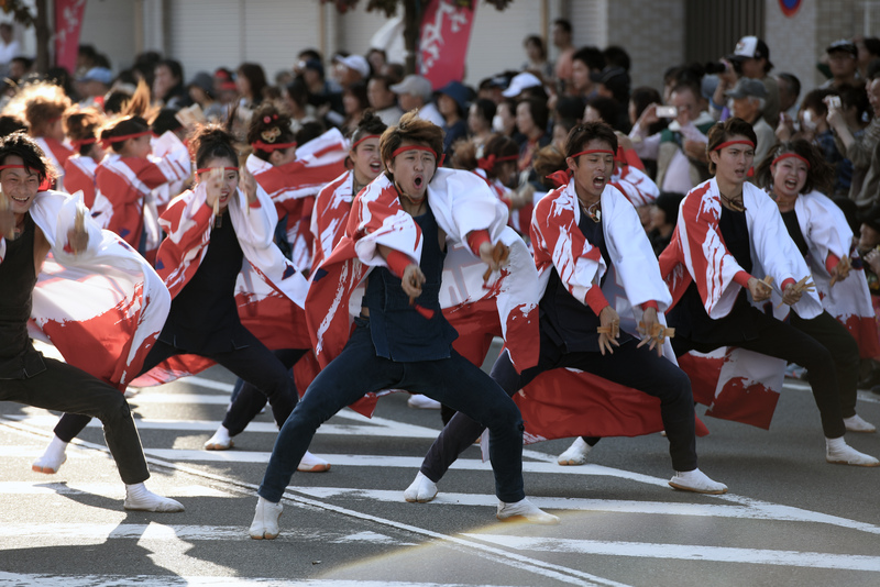 第10回つるせよさこい祭り　朝霞なるこ遊和会　（敬称略）　埼玉県朝霞市_c0276323_17253241.jpg