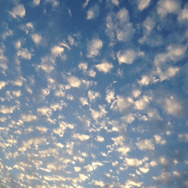 f0270027_16202107.jpg