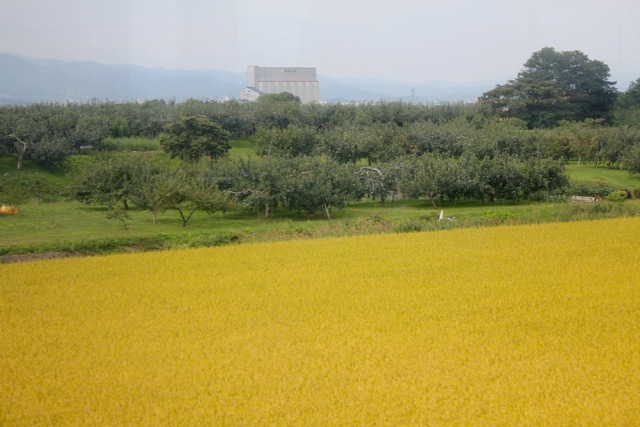 f0348831_19420689.jpg