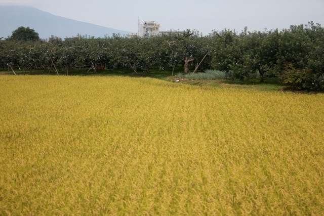 f0348831_19421157.jpg