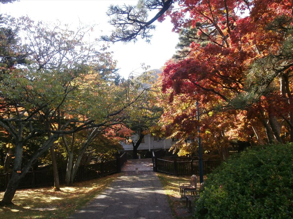 函館公園～今週の紅葉情報～_e0145841_17122123.jpg