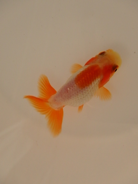 f0334143_9142473.jpg