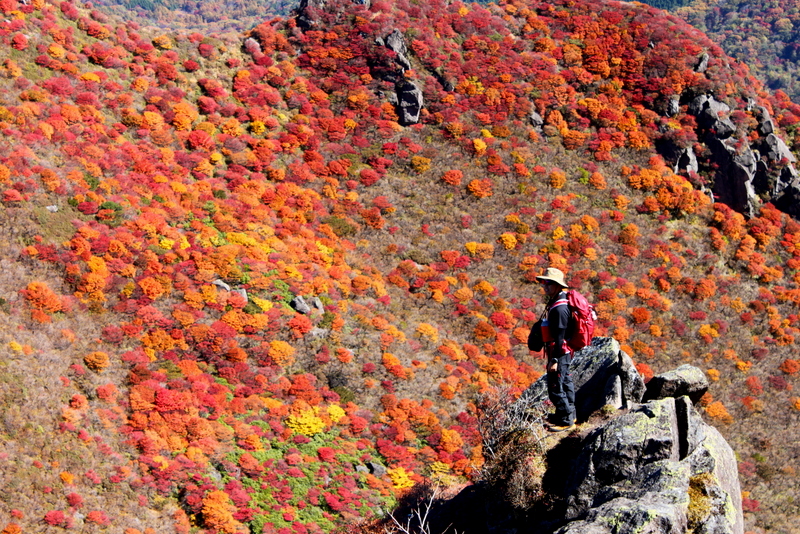 九重紅葉炎上_e0206944_11414163.jpg