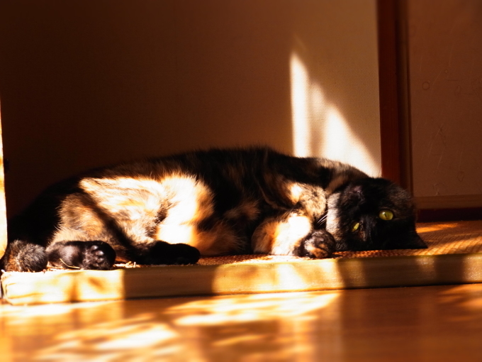 a0305046_09022224.jpg