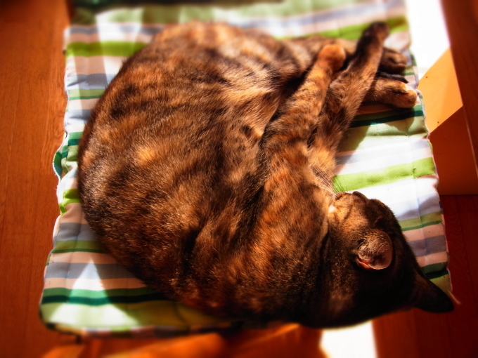 a0305046_09051690.jpg