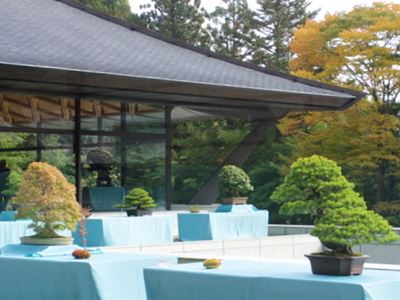 日光東照宮での盆栽展 : こもれび