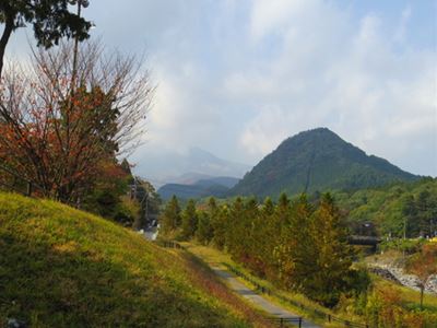 日光東照宮での盆栽展 : こもれび 日光東照宮での盆栽展 : こもれび
