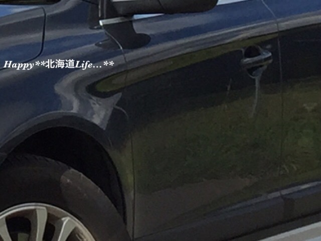 a0337860_12454409.jpeg