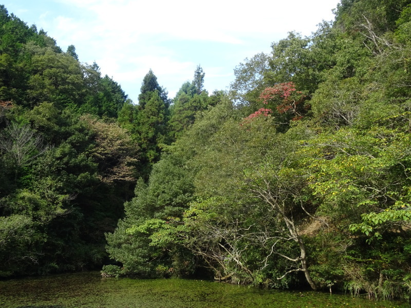 北尾根新山道作り（第３日目）　in　孝子の森_c0108460_22022310.jpg