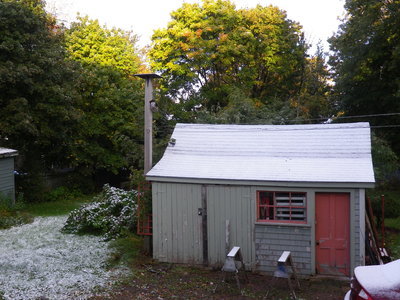 初雪…_c0353373_03232146.jpg