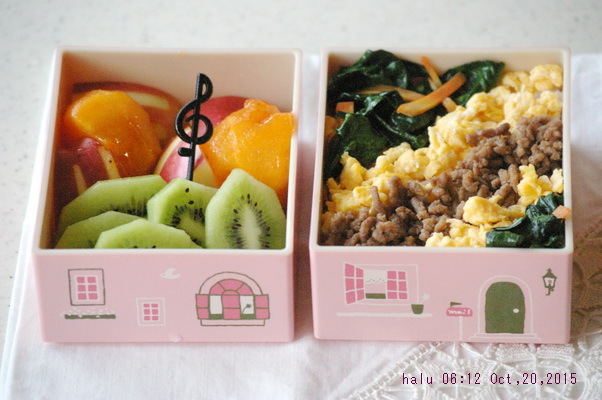 今日のそぼろ弁当_d0327373_11250914.jpg