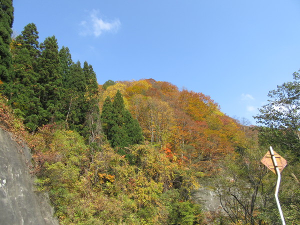 a0311474_814087.jpg
