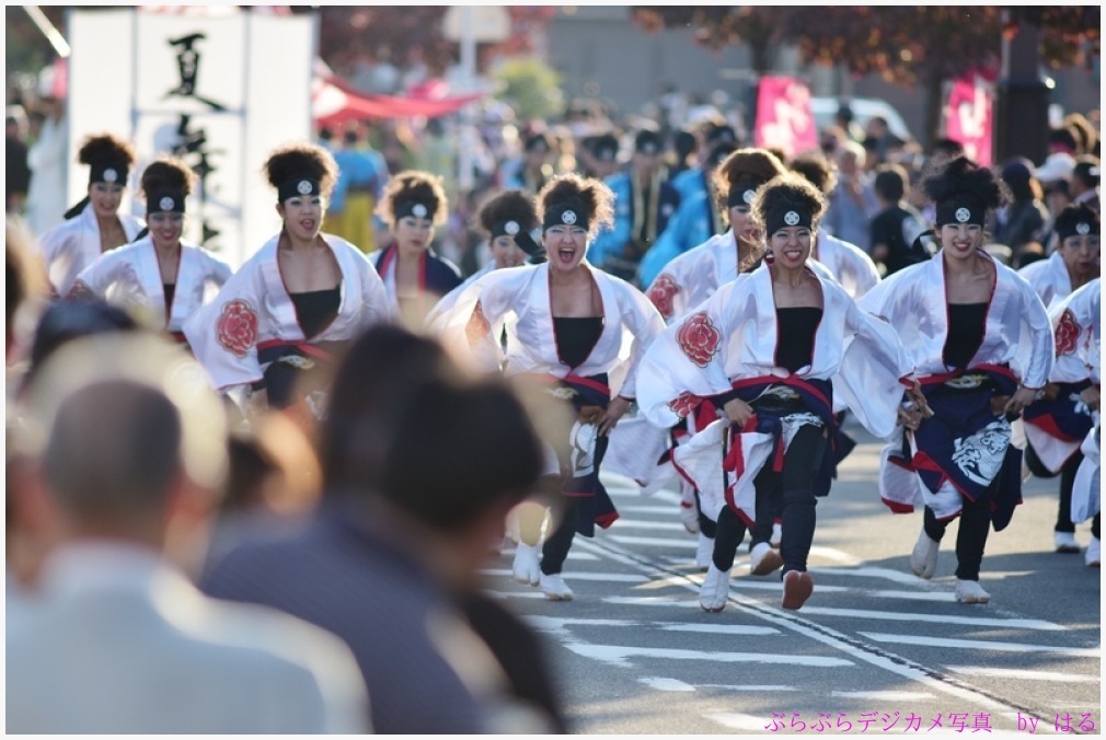 つるせよさこい祭り　2015　（２）　夏舞徒の弐_b0104774_01284410.jpg