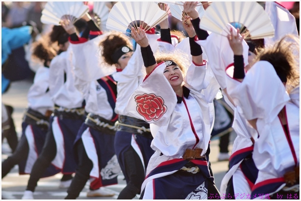 つるせよさこい祭り　2015　（２）　夏舞徒の弐_b0104774_01343841.jpg