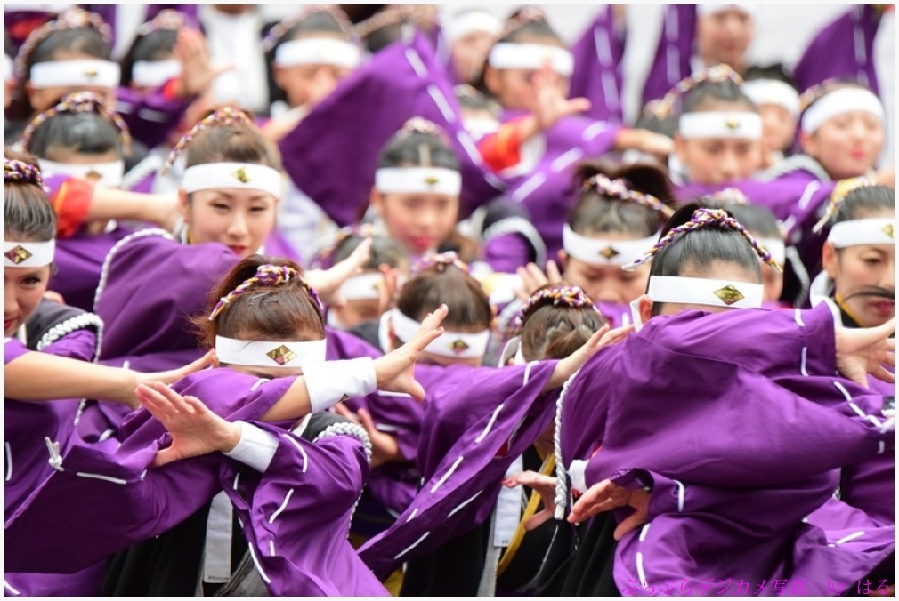 東京よさこい　2015　（８）甲斐◇風林火山の弐_b0104774_10100633.jpg