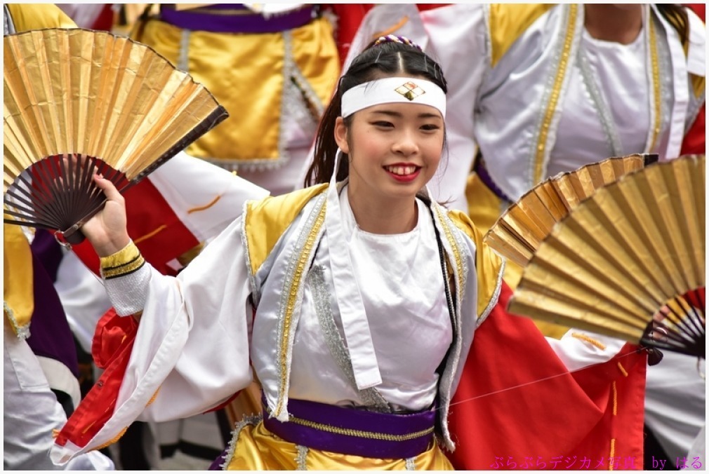 東京よさこい　2015　（８）甲斐◇風林火山の弐_b0104774_10105671.jpg