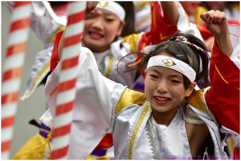 東京よさこい　2015　（８）甲斐◇風林火山の弐_b0104774_10124388.jpg