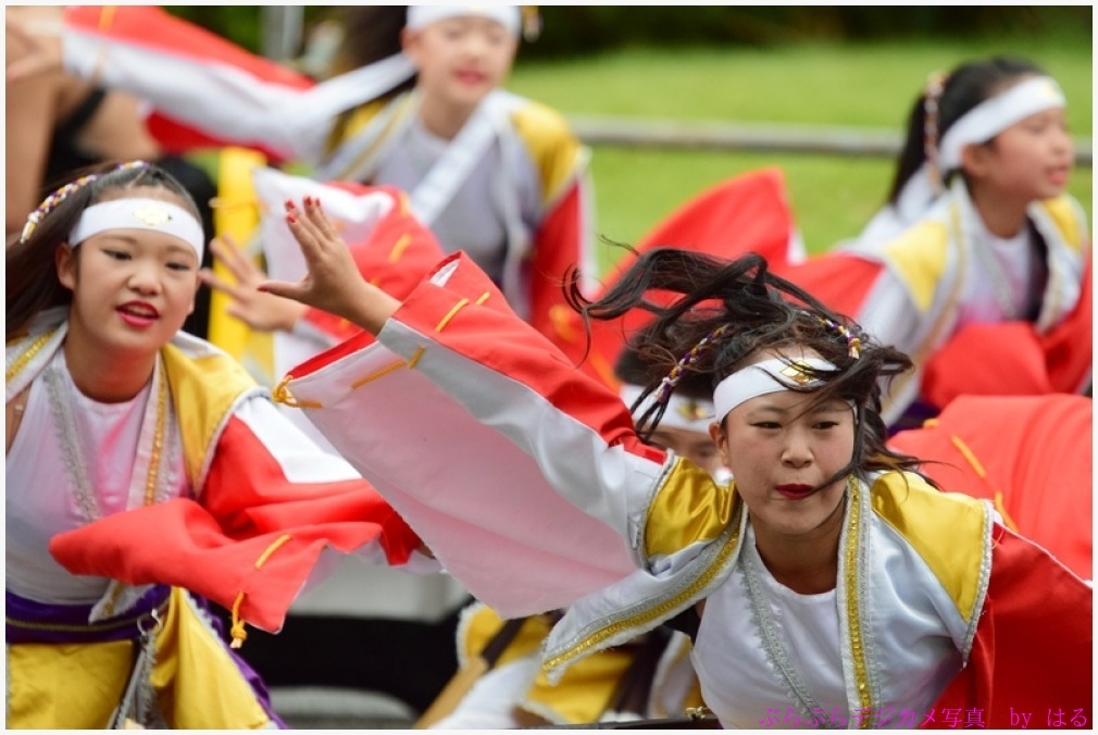 東京よさこい　2015　（８）甲斐◇風林火山の弐_b0104774_10135435.jpg