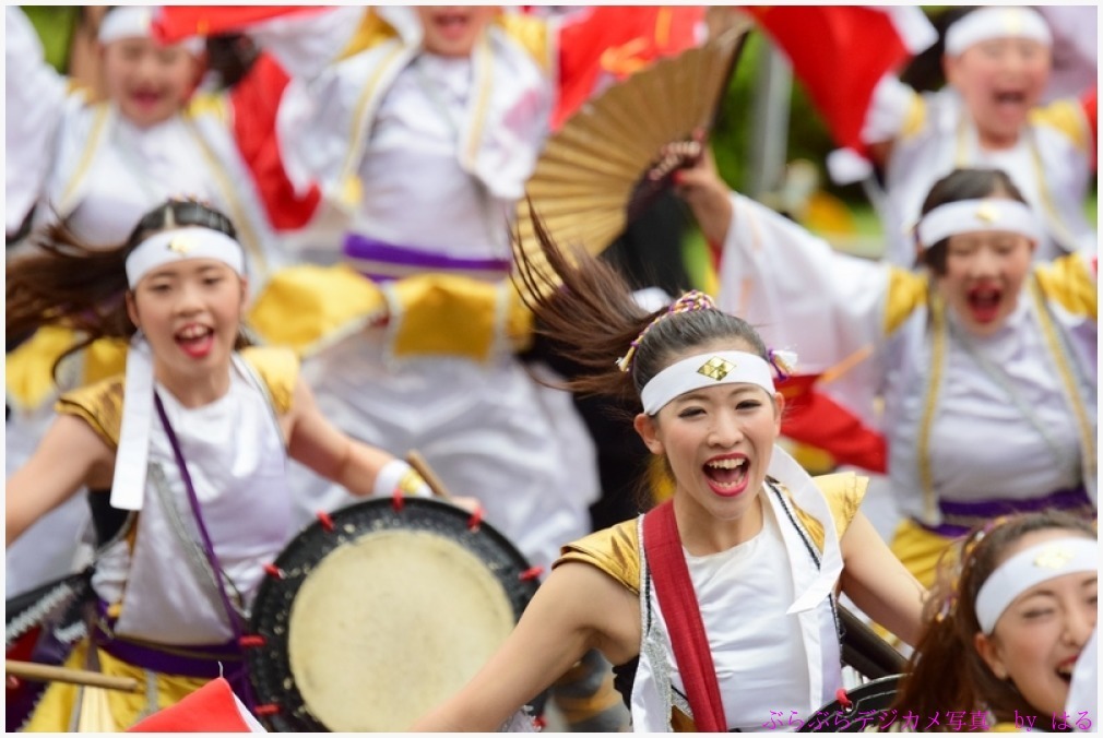 東京よさこい　2015　（８）甲斐◇風林火山の弐_b0104774_10140708.jpg