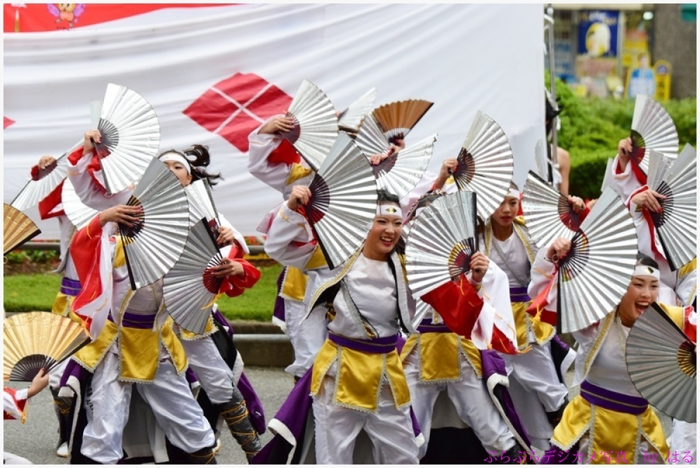 東京よさこい　2015　（８）甲斐◇風林火山の弐_b0104774_10222039.jpg