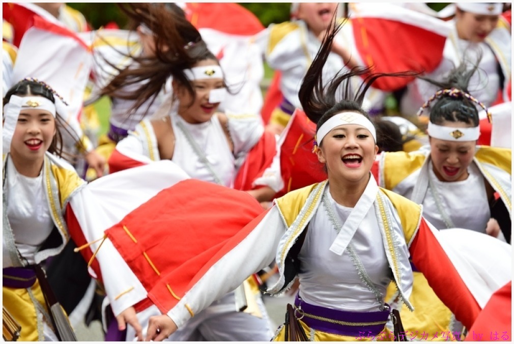 東京よさこい　2015　（８）甲斐◇風林火山の弐_b0104774_10234944.jpg