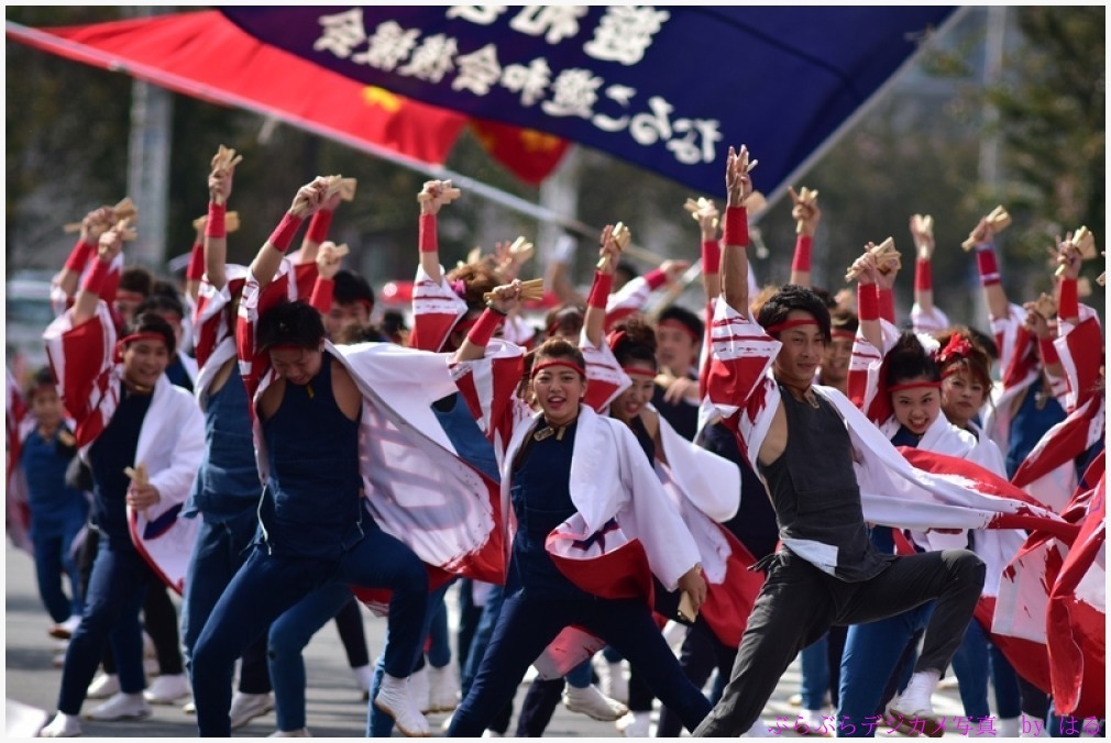 つるせよさこい祭り　2015　（３）　風靡・遊和会_b0104774_14555512.jpg