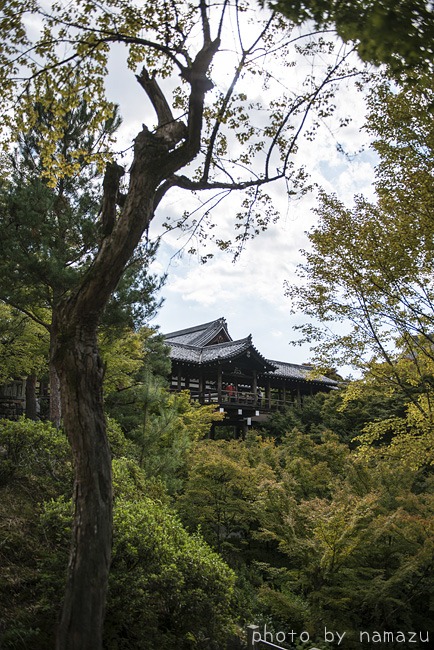 京都（東福寺2）_b0280176_15345122.jpg