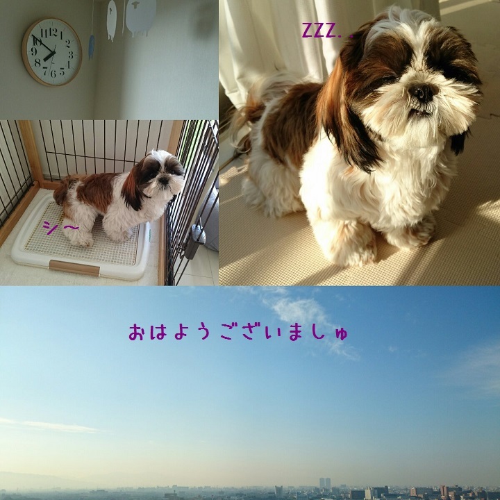 c0363378_16095457.jpg