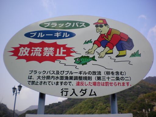 国東半島をめぐる 2(両子寺/行入ダム/宇佐神宮)_b0005281_2024385.jpg
