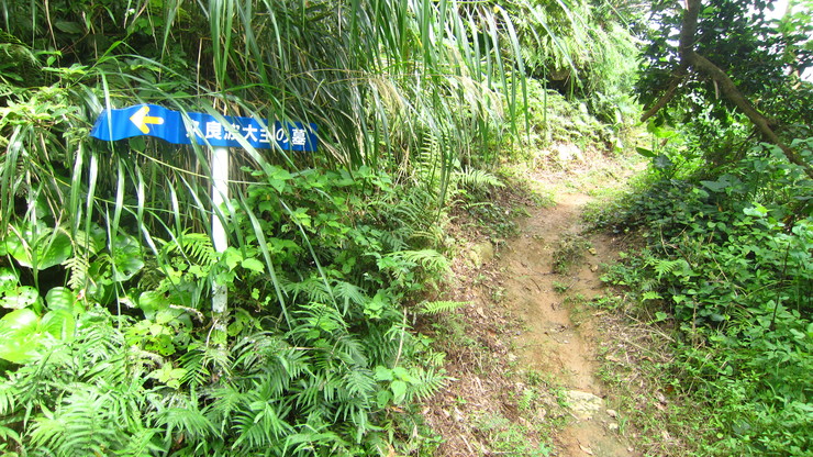 a0242984_9123468.jpg