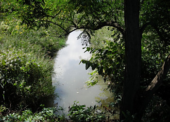 f0078286_13103637.jpg