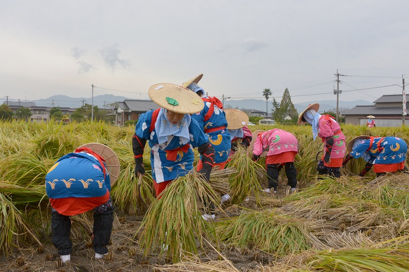 抜穂祭_e0086887_20564045.jpg