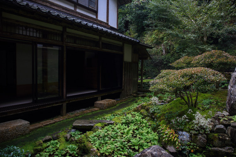古知谷 阿弥陀寺_e0051888_11292924.jpg