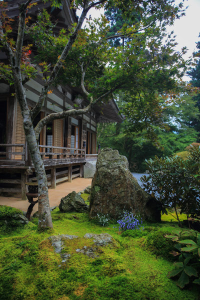 古知谷 阿弥陀寺_e0051888_1130858.jpg
