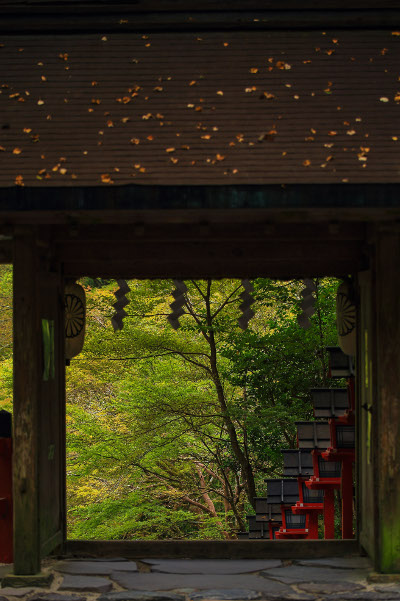 貴船神社_e0051888_15443690.jpg