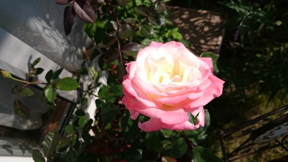 点検_c0066693_11503033.jpg