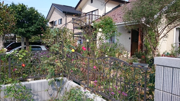 点検_c0066693_11524941.jpg