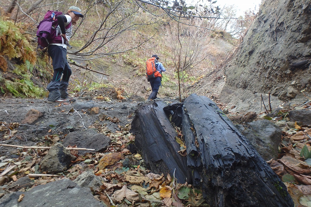  楓沢から風不死岳、10月18日－登山道に合流するまで編－_f0138096_8314057.jpg