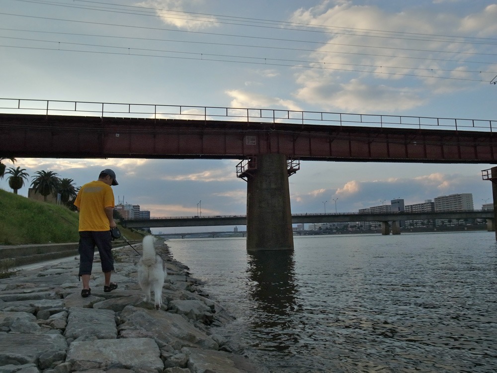 c0049299_2243538.jpg