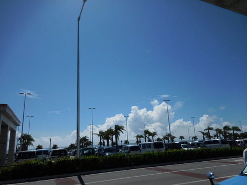 d0077699_1384019.jpg