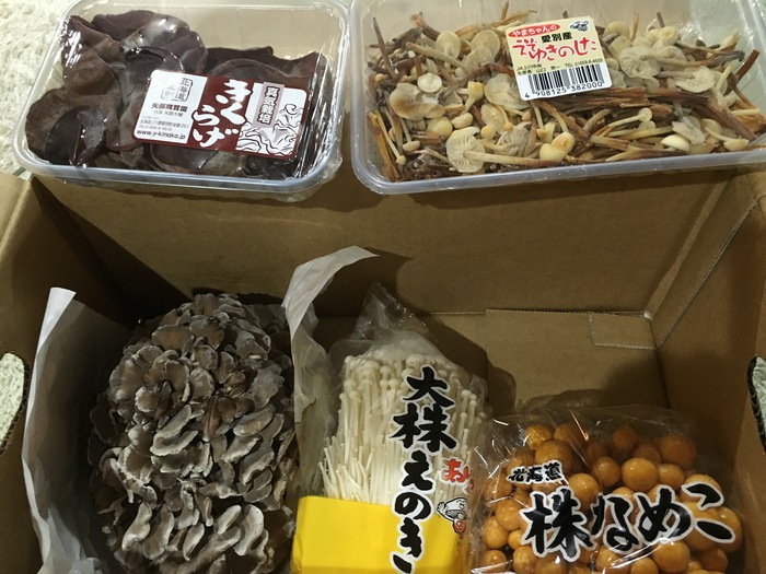 主食は愛別産のキノコです!_c0226202_21403095.jpg