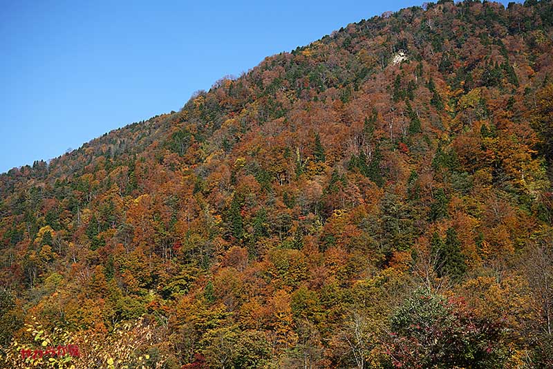 b0134907_12351118.jpg