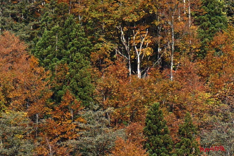 b0134907_12354582.jpg