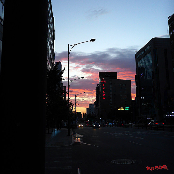 b0134907_8565559.jpg