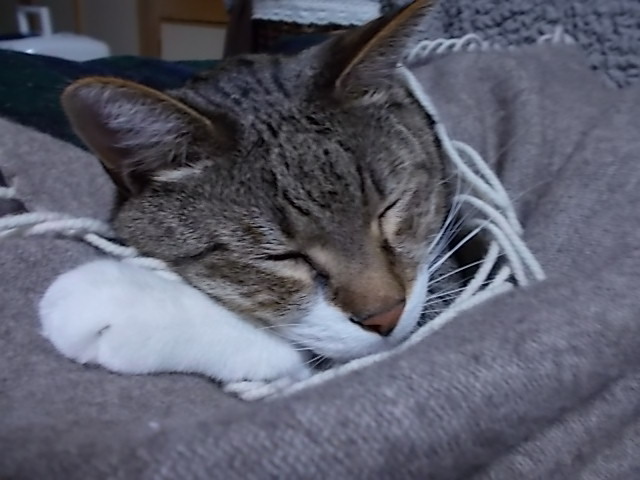 f0316507_16384772.jpg