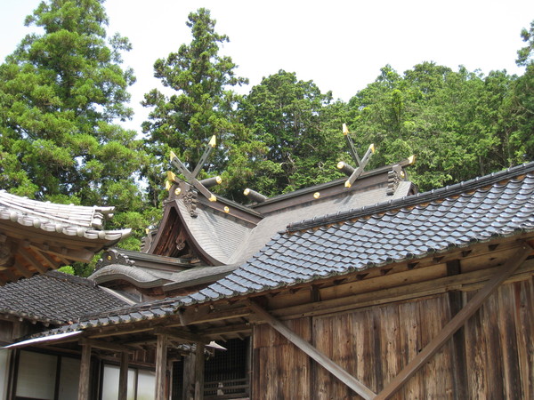 d0287413_2304833.jpg