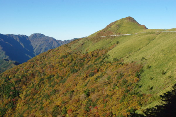 d0341514_20151766.jpg