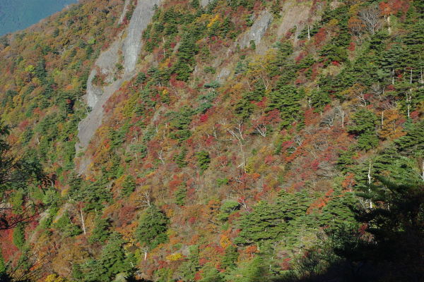 d0341514_20200046.jpg