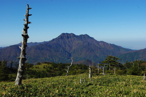 d0341514_20204578.jpg